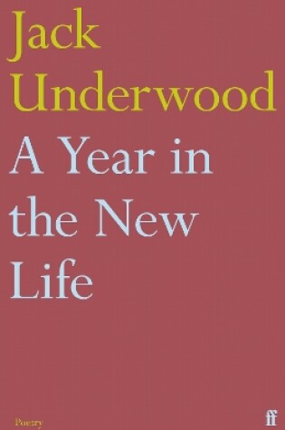 Cover of A Year in the New Life