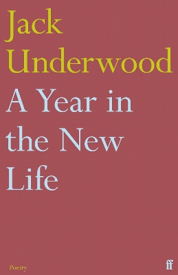 Book cover for A Year in the New Life