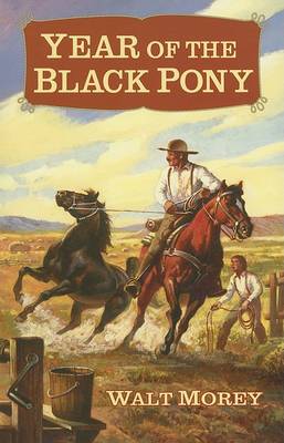 Book cover for Year of the Black Pony