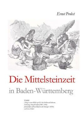 Cover of Die Mittelsteinzeit in Baden-Württemberg