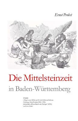 Book cover for Die Mittelsteinzeit in Baden-Württemberg