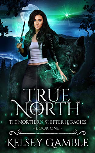 Book cover for True North