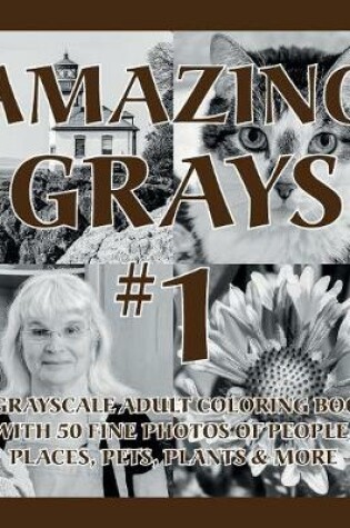 Cover of Amazing Grays #1