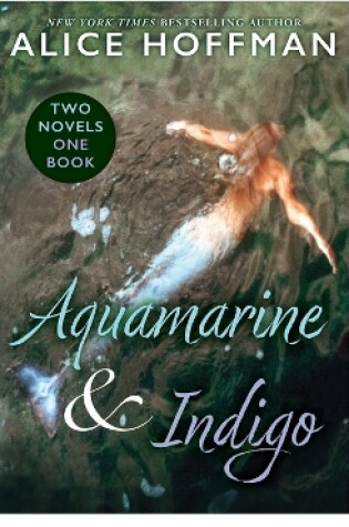 Cover of Aquamarine & Indigo (Two Novels, One Book)