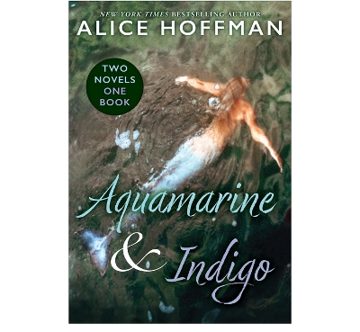 Book cover for Aquamarine & Indigo (Two Novels, One Book)