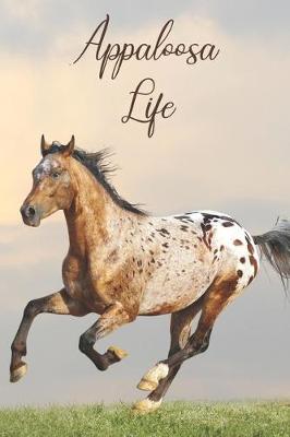 Book cover for Appaloosa Life