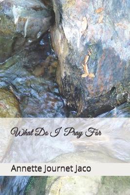 Book cover for What Do I Pray For?