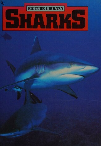 Book cover for Sharks