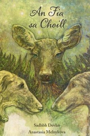 Cover of An Fia sa Choill