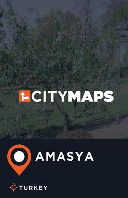 Book cover for City Maps Amasya Turkey