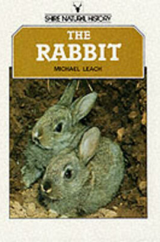 Cover of The Rabbit