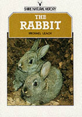 Book cover for The Rabbit