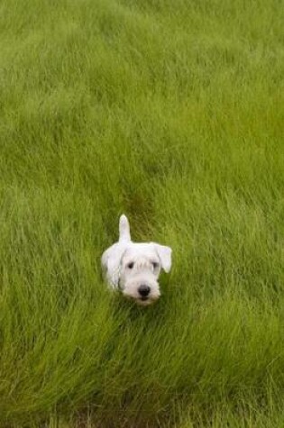 Cover of Sealyham Terrier