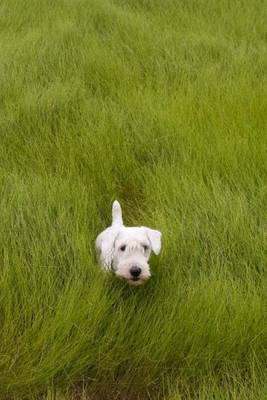 Cover of Sealyham Terrier