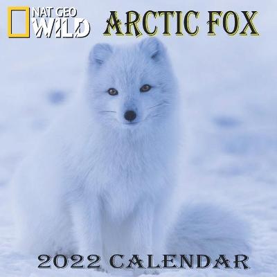 Book cover for Arctic Fox Calendar 2022
