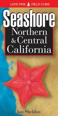 Book cover for Seashore of Northern and Central California