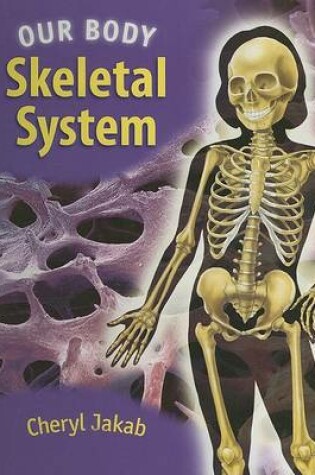 Cover of Us Skeletal System Our Body