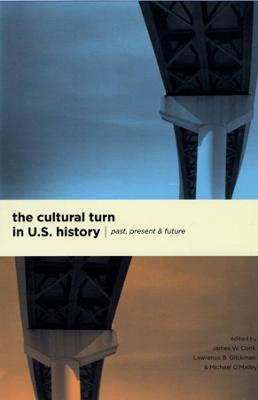Cover of The Cultural Turn in U. S. History
