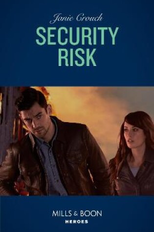Cover of Security Risk