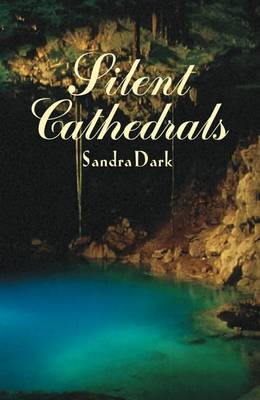 Book cover for Silent Cathedrals