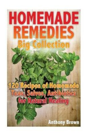 Cover of Homemade Remedies Big Collection