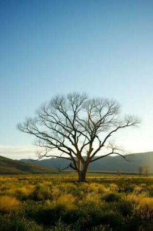 Cover of A Single Tree on the Western Plains of Colorado