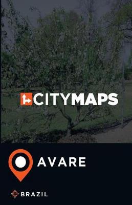 Book cover for City Maps Avare Brazil