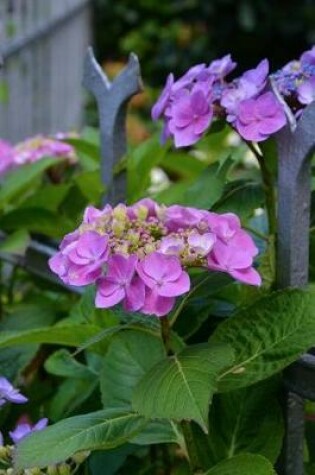 Cover of Hydrangeas Growing Through a Fence Journal