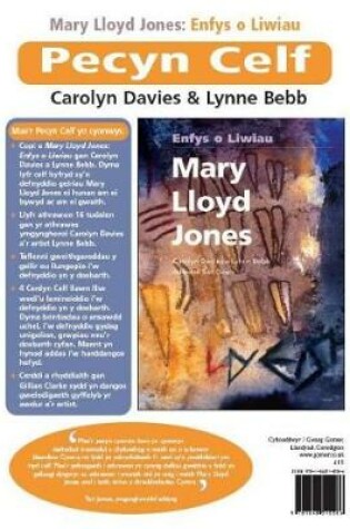 Cover of Pecyn Celf Mary Lloyd Jones - Enfys o Liwiau