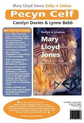 Book cover for Pecyn Celf Mary Lloyd Jones - Enfys o Liwiau