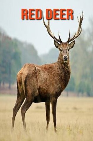 Cover of Red Deer
