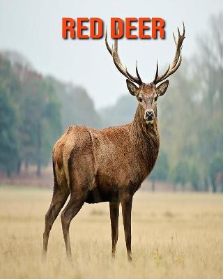Book cover for Red Deer