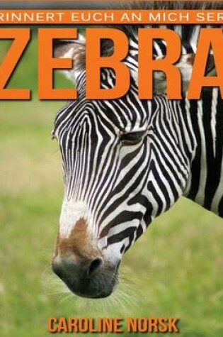 Cover of Zebra