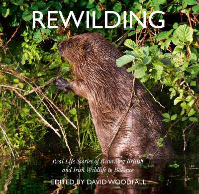 Book cover for Rewilding