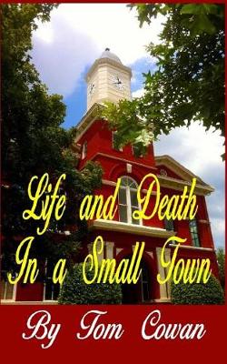 Book cover for Life and Death in a Small Town