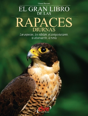 Book cover for El gran libro de las rapaces diurnas