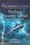 Book cover for Perilous Security Detail