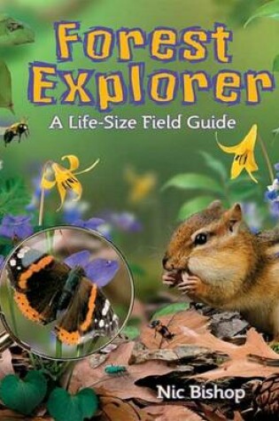 Cover of Forest Explorer