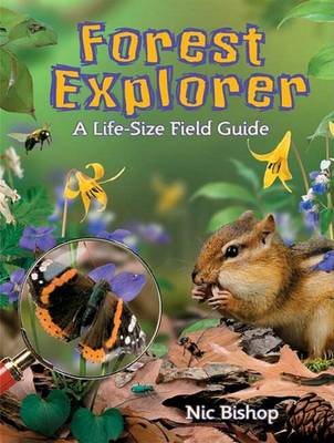 Book cover for Forest Explorer