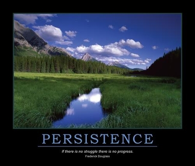 Book cover for Persistence Poster