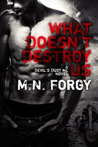 Cover of What Doesn't Destroy Us