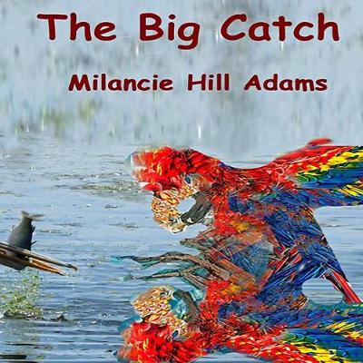 Book cover for The Big Catch