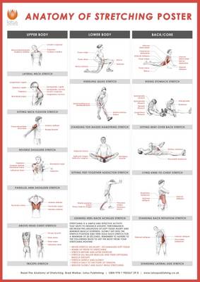 Book cover for Stretching Wall Chart