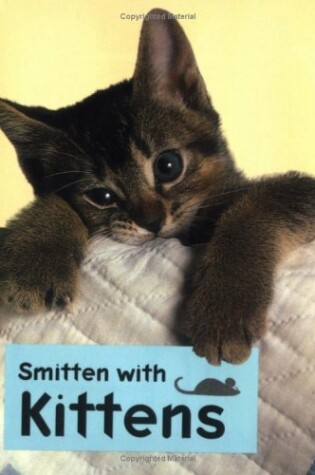 Cover of Smitten with Kittens