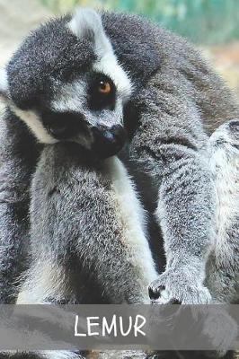 Cover of Lemur