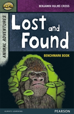 Book cover for Rapid Stage 7 Assessment book: Lost and Found