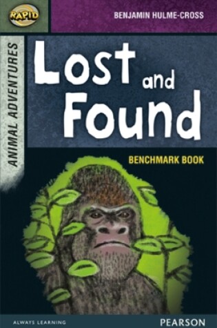 Cover of Rapid Stage 7 Assessment book: Lost and Found