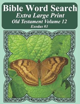 Book cover for Bible Word Search Extra Large Print Old Testament Volume 12
