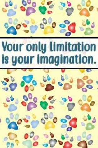 Cover of Your Only Limitation Is Your Imagination.