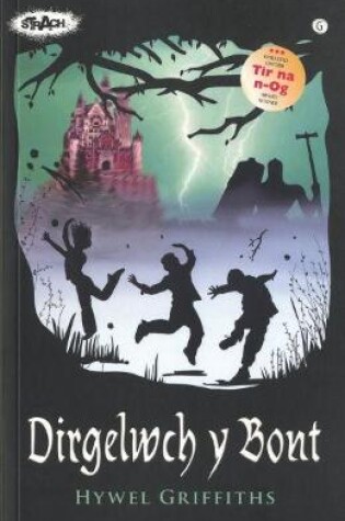 Cover of Cyfres Strach: Dirgelwch y Bont